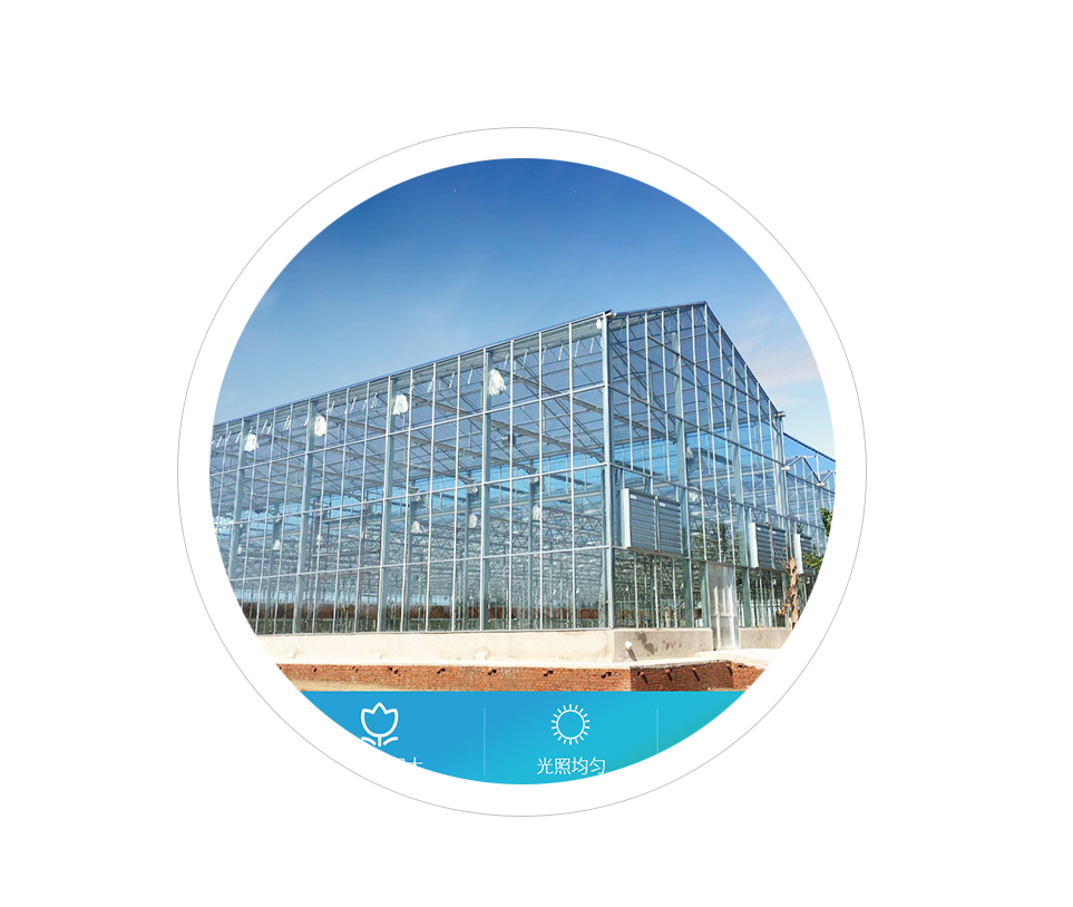温室工程