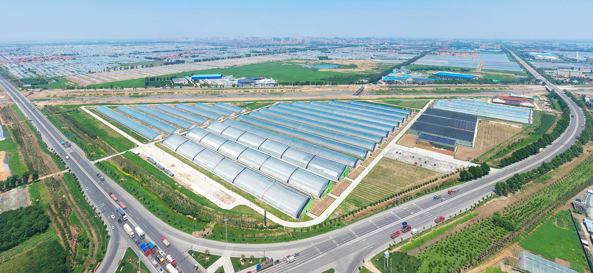 中农和丰(山东)农业开发有限公司