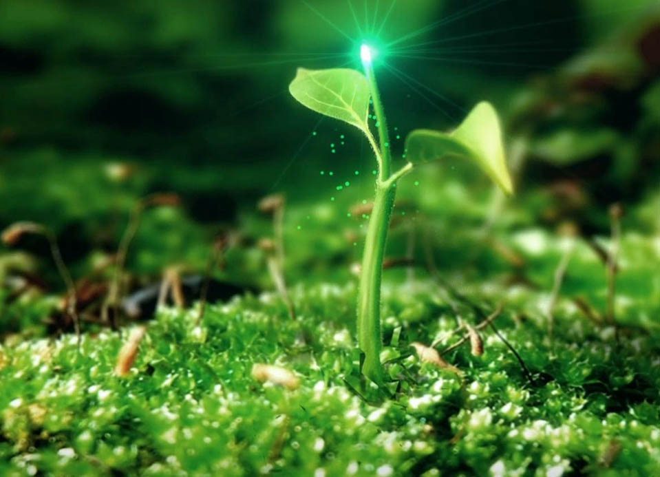 中农和丰(山东)农业开发有限公司