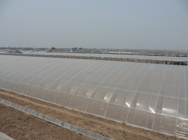 冬暖式日光温室