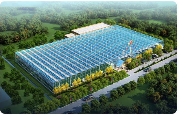 玻璃温室无土栽培效果图