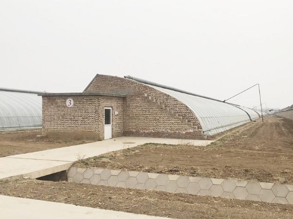 玻璃温室大棚在农业种植中有哪些优势呢 玻璃温室大棚在农业种植中有哪些优势呢