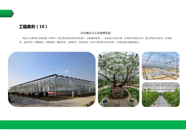 江西瑞金九丰农业