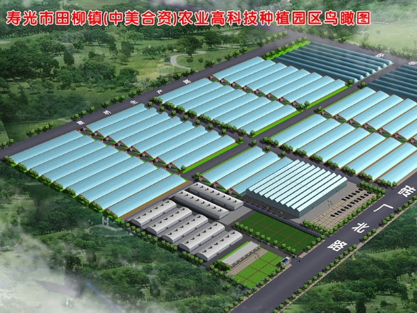 园区规划鸟瞰图