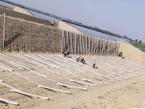 冬暖蔬菜大棚温室